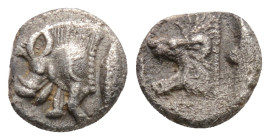 Mysia, Kyzikos AR Hemiobol (?). 525-475 BC. Forepart of boar left, tunny fish behind / Head of roaring lion left, within incuse square.
0.4g 7.3mm