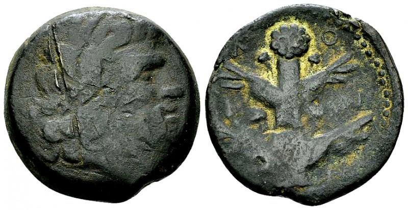 Cyrene AE24, Koinon isssue, c. 250 BC 

Cyrenaica, Cyrene . AE 24 (10.60 g), K...