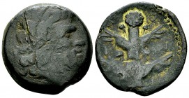 Cyrene AE24, Koinon isssue, c. 250 BC 

Cyrenaica, Cyrene . AE 24 (10.60 g), Koinon issue, c. 250 BC.
Obv. Diademed head of Zeus Ammon to right.
R...