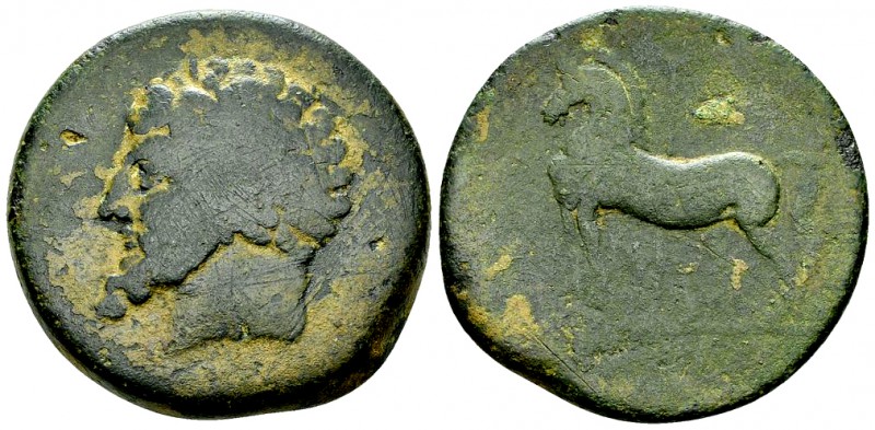 Micipsa (?) AE 33, c. 148-118 BC, very rare 

Numidia, Kings of. Micipsa (?). ...
