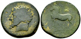 Micipsa (?) AE 33, c. 148-118 BC, very rare 

Numidia, Kings of. Micipsa (?). AE 33 (22.28 g), c. 148-118 BC.
Obv. Laureate and bearded head to lef...
