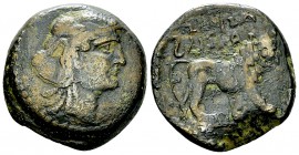 Juba I AE22, Lion reverse 

Numidia, Kings of. Juba I (c. 60-46 BC). AE22 (10.14 g).
Obv. Head of Numidia right, wearing elephant's skin headdress....