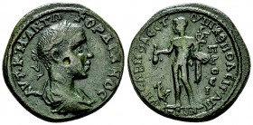 Gordianus III AE27, Nikopolis ad Istrum 

 Gordian III Pius (238-244 AD). AE27 (13.71 g). Moesia Inferior, Nikopolis. Sabinius Modestus, Governor.
...