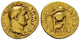 Vitellius Aureus, Tripod-lebes reverse 

 Vitellius (69 AD). Aureus (18-19 mm, 7.06 g). Rome mint, c. late April-20 December AD 69.
Obv. A VITELLIV...