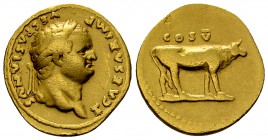 Titus Aureus, Cow reverse 

Vespasianus (69-79 AD) for Titus Caesar . Aureus (19-20 mm, 7.08 g), Rome, 76 AD.
Obv. T CAESAR IMP VESPASIANVS, Laurea...