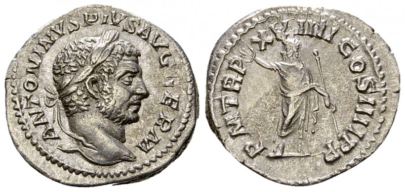 Caracalla AR Denarius, Serapis reverse 

 Caracalla (211-217 AD). AR Denarius ...