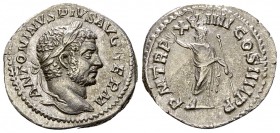 Caracalla AR Denarius, Serapis reverse 

 Caracalla (211-217 AD). AR Denarius (18-19 mm, 3.14 g), Rome 216.
Obv. ANTONINVS PIVS AVG GERM, Laureate ...