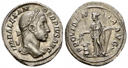 Severus Alexander AR Denarius, Providentia reverse 

 Severus Alexander (222-235 AD). AR Denarius (19-20 mm, 3.69 g), Rome, 231-235 AD.
Obv. IMP AL...