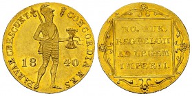 Netherlands AV Ducat 1840 

 Netherlands, Kingdom. Trade coinage. AV Ducat 1840 (21 mm, 3.49 g). Utrecht mint; muntmeestertekens: lis and winged cad...