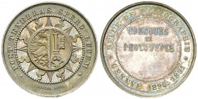 Genf, AR Medaille 1891, Concours de Phototypie 

Schweiz, Genf . AR Medaille 1890/1891 (36 mm, 22.76 g), Preismedaille des Concours de Phototypie de...