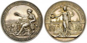 Genf, AR Medaille 1896 

Schweiz, Genf . AR Medaille 1896 (50 mm, 44.50 g). Souvenir de l'exposition nationale suisse. Von W. Meyer.

Fast FDC.