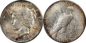 1926-S Peace Silver Dollar. MS-66 (PCGS).
PCGS# 7369. NGC ID: 257R.

Estimate: $3500