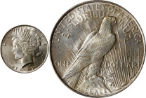 1927-D Peace Silver Dollar. MS-61 (PCGS).
PCGS# 7371. NGC ID: 257T.

Estimate: $275