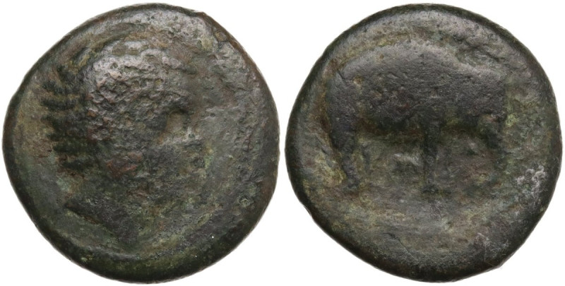 Greek Italy. Etruria, Arretium (?) The Chiana Valley. AE 18 mm, 208-207 BC. Obv....