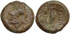 Greek Italy. Samnium, Southern Latium and Northern Campania, Cales. AE 19 mm, 265-240 BC. Obv. Helmeted head of Athena left. Rev. Rooster standing rig...