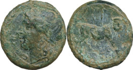 Greek Italy. Samnium, Southern Latium and Northern Campania, Cales. AE 21.5 mm, c. 265-240 BC. Obv. CALENO. Laureate head of Apollo left. Rev. Μan-hea...