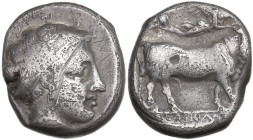 Greek Italy. Central and Southern Campania, Neapolis. AR Didrachm, 420-400 BC. Obv. Head of nymph right. Rev. Man-headed bull right; above, Nike flyin...