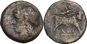 Greek Italy. Central and Southern Campania, Neapolis. AE 19 mm. c. 270-250 BC. Obv. Laureate head of Apollo left. Rev. Man-faced bull standing right, ...