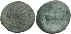 Greek Italy. Northern Apulia, Salapia. AE 22 mm, 225-210 BC. Obv. Laureate head of Apollo right. Rev. Horse galloping right; above, trident. HN Italy ...