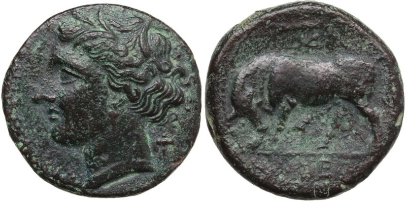 Sicily. Syracuse. Hieron II (275-215 BC). AE 19 mm, c. 275-269/265 BC. Obv. ΣYPA...