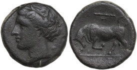 Sicily. Syracuse. Hieron II (274-215 BC). AE 19 mm. Obv. Head of Persephone left, wearing wreath of grain. Rev. Bull butting left; above, club. CNS II...