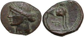 Punic Sardinia. AE Shekel, First Punic War, c. 264-241 BC. Obv. Wreathed head of Kore left. Rev. Horse standing right; Punic SIN below. Lulliri tav. X...