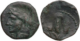 Punic Sardinia. AE Shekel (?). Circa 241-215 BC. Uncertain mint. Obv. Wreathed head of Kore left, wearing triple-pendant earring; below chin, Punic le...