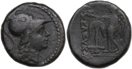 Greek Asia. Seleucid Kings. Seleukos II Kallinikos (265-226 BC). AE 19 mm, Antioch ad Orontem mint. Obv. Helmeted head of Athena right. Rev. Nike adva...
