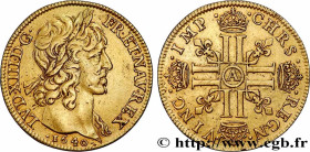LOUIS XIII
Type : Double louis d'or à la mèche longue, à deux rubans 
Date : 1640 
Mint name / Town : Paris, Monnaie du Louvre 
Quantity minted : 4319...