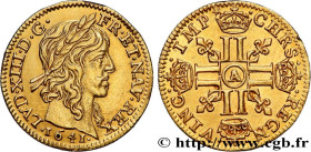 LOUIS XIII
Type : Demi-louis d'or à la mèche longue 
Date : 1641 
Mint name / Town : Paris 
Quantity minted : 734400 
Metal : gold 
Millesimal finenes...