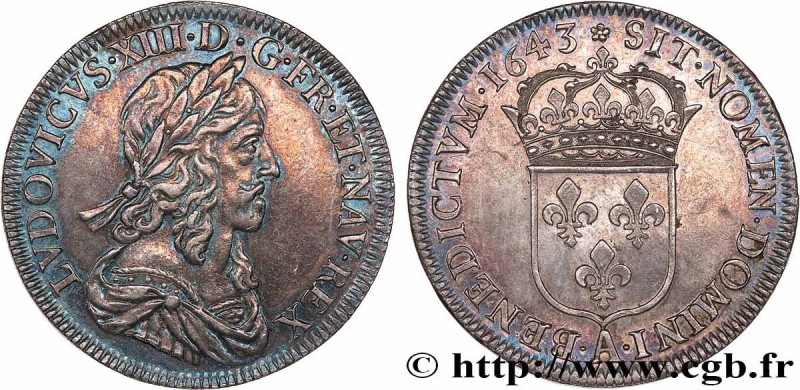 LOUIS XIII
Type : Demi-écu d’argent, 3e type, 2e poinçon de Warin 
Date : 1643 
...