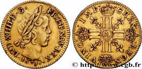 LOUIS XIV "THE SUN KING"
Type : Demi-louis d'or à la mèche courte 
Date : 1645 
Mint name / Town : Paris 
Metal : gold 
Millesimal fineness : 917  ‰
D...