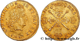 LOUIS XIV "THE SUN KING"
Type : Louis d'or aux insignes 
Date : 1704 
Mint name / Town : Paris 
Quantity minted : 20508 
Metal : gold 
Millesimal fine...