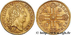 LOUIS XIV "THE SUN KING"
Type : Louis d'or au soleil 
Date : 1710 
Mint name / Town : Tours 
Quantity minted : 25599 
Metal : gold 
Millesimal finenes...