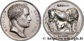 PREMIER EMPIRE / FIRST FRENCH EMPIRE
Type : Médaille, Conquête de l’Illyrie 
Date : 1809/1810 
Metal : silver 
Diameter : 40,5  mm
Weight : 32,99  g.
...