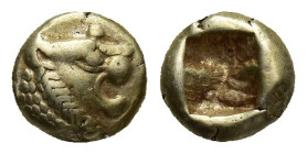 LYDIA. Kroisos, 561-546 B.C. EL Hemihekte (1/12 Stater) (7.5mm, 1.19 g), ca. 610-546 B.C. Lion's head right; Reverse: Incuse square.