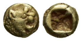LYDIA. Kroisos, 561-546 B.C. EL Hemihekte (1/12 Stater) (7mm, 1.13 g), ca. 610-546 B.C. Lion's head right; Reverse: Incuse square.
