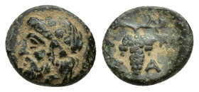 AEOLIS. Temnos. Ae (9mm, 1 g) (4th century BC). Obv: Laureate head of Zeus left. Rev: T - A. Grape bunch on vine.