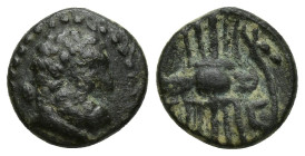 PISIDIA. Selge. Ae (2nd-1st centuries BC). (12mm, 2.1 g) Obv: Head of Herakles right, with club over shoulder. Rev: Σ - Ε - Λ. Thunderbolt and arc ter...