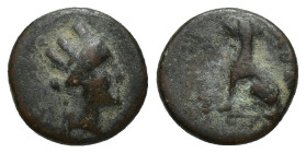PHRYGIA, Laodikeia. Circa 133/88-67 BC. Ae (11mm, 1.4 g) Obv: Turreted head of Tyche right Rev: Lion seated left, raising forepaw.