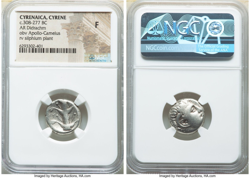 CYRENAICA. Cyrene. Ca. 308-277 BC. AR didrachm (18mm, 10h). NGC Fine. Bare head ...