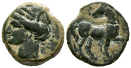 ZEUGITANIA, Cártago. Calco. (Ae. 6,21g/20mm). Siglo III-Siglo II a.C. (Seaby 6518). Anv: Cabeza diademada de Tanit a izquierda. Rev: Caballo al paso a...