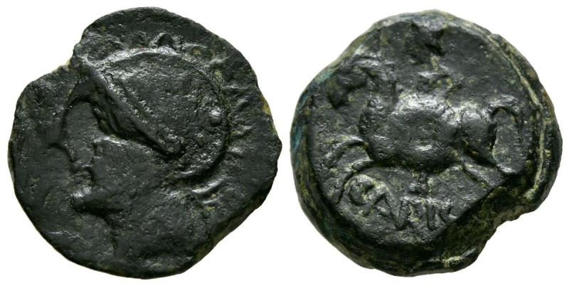 CARISA (Bornos, Cádiz). Semis. (Ae. 5,37g/19mm). 50 a.C. (FAB-451). Anv: Cabeza ...