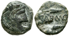 CARMO (Carmona, Sevilla). As. (Ae. 16,10g/24mm). 80 a.C. (FAB-466). Anv: Cabeza de Hércules con piel de león a derecha. Rev: Leyenda: CARMO, entre dos...