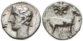 CARTAGONOVA (Cartagena, Murcia). Shekel. (Ar. 5,78g/20mm). 220-205 a.C. (FAB-540). Anv: Cabeza masculina a izquierda. Rev: Caballo parado a derecha de...