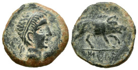 CASTULO (Cazlona, Jaém). Cuadrante. (Ae. 3,00g/16mm). 180 a.C. (FAB-733). Anv: Cabeza masculina diademada a derecha. Rev: Jabalí a derecha, debajo ley...