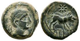 CASTULO (Cazlona, Jaén). Cuadrante. (Ae. 3,63g/16mm). 180 a.C. (FAB-735). Anv: Cabeza masculina diademada a derecha. Rev: Jabalí a derecha, encima est...