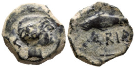 CUNBARIA (entre Cabezas de San Juan y Lebrija, Sevilla). Semis. (Ae. 6,64g/20mm). 50 a.C. (FAB-880). Anv: Cabeza masculina a derecha, detrás S. Rev: A...