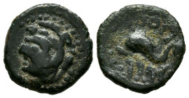 GADES (Cádiz). 1/4 Calco. (Ae. 1,30g/13mm). 200-100 a.C. (FAB-1324). Anv: Cabeza de Melkart a izquierda con piel de león. Rev: Delfín a izquierda, alr...