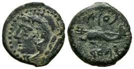 GADES (Cádiz). 1/4 Calco. (Ae. 1,94g/16mm). 200-100 a.C. (FAB-1324). Anv: Cabeza de Melkart a izquierda con piel de león. Rev: Delfín a izquierda, alr...